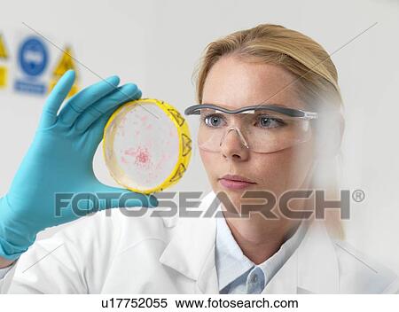 Stock Photography - Microbiology research. Fotosearch