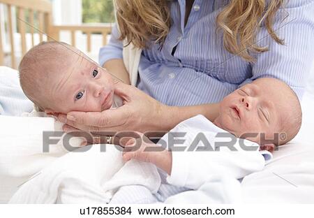 Mother and two week old twins View Large Photo Image Picture - Mother and two week old twins. Fotosearch