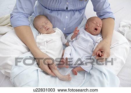 Mother and two week old twins View Large Photo Image Stock Image - Mother and two week old twins. Fotosearch