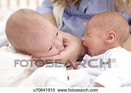 Mother and two week old twins View Large Photo Image Stock Photography - Mother and two week old twins. Fotosearch