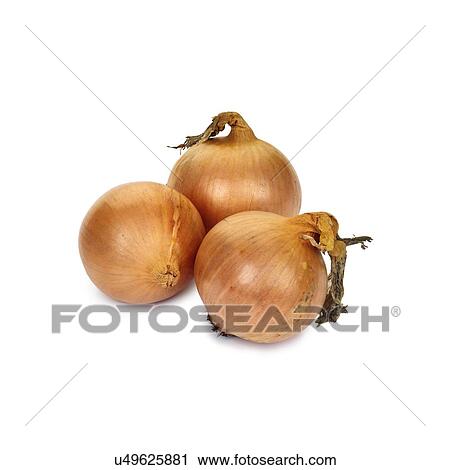 Onions View Large Photo Image Stock Image - Onions. Fotosearch