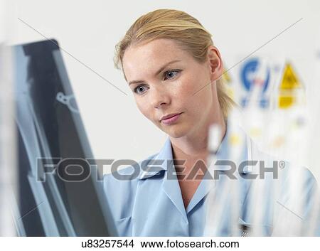 Picture - Radiologist examining an X-ray. Fotosearch