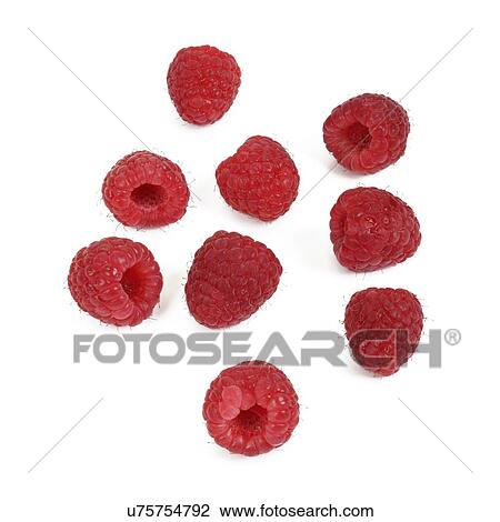 Raspberries View Large Photo Image Stock Image - Raspberries. Fotosearch