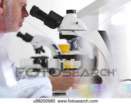 Scientist using a light microscope View Large Photo Image Stock Image - Scientist using a light microscope. Fotosearch