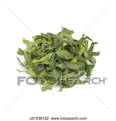 Spring greens View Large Photo Image Stock Image - Spring greens. Fotosearch