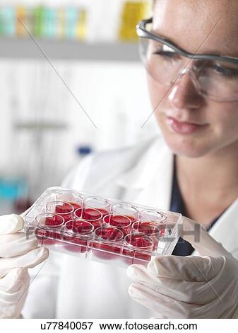 Stock Photo - Stem cell research. Fotosearch