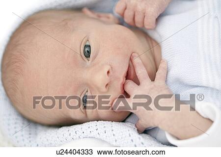 Stock Image - Two week old baby boy. Fotosearch