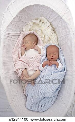 Two week old twins View Large Photo Image Stock Image - Two week old twins. Fotosearch