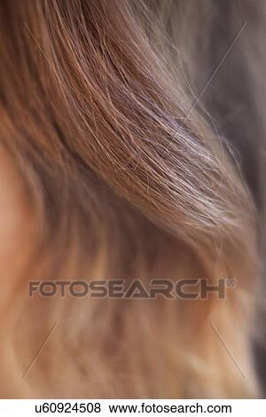 Stock Photo - Woman's hair. Fotosearch