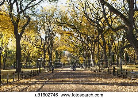 Stock Photograph - Alley in Central Park in autumn. Fotosearch