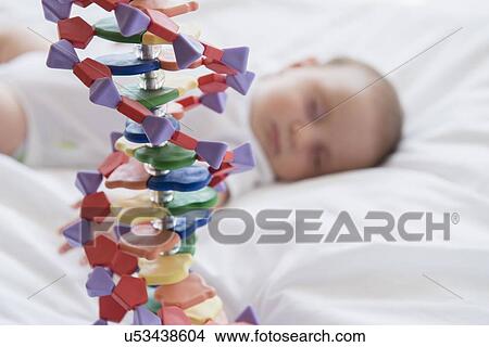 Picture - Baby girl (2-5 months) sleeping in bed behind DNA model. Fotosearch