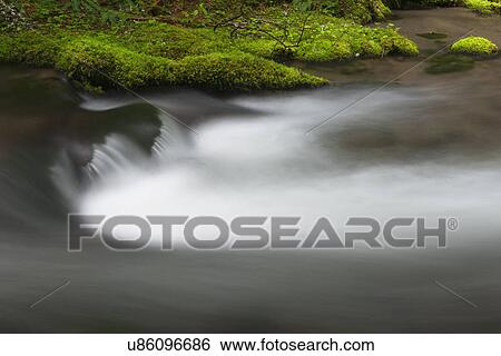 Creek in Mount Hood National Forest View Large Photo Image Stock Photograph - Creek in Mount Hood National Forest. Fotosearch