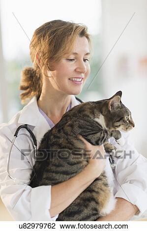 Female vet with cat View Large Photo Image Stock Image - Female vet with cat. Fotosearch