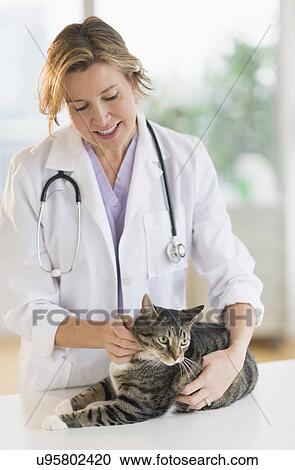 Female vet with cat View Large Photo Image Stock Image - Female vet with cat. Fotosearch