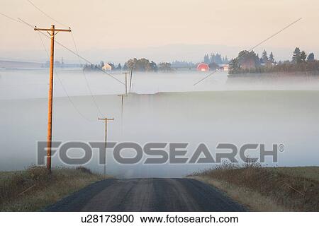Fog over road View Large Photo Image Stock Image - Fog over road. Fotosearch
