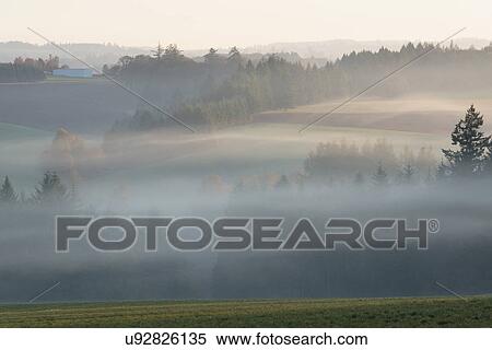 Fog over Wilamette Valley View Large Photo Image Stock Photography - Fog over Wilamette Valley . Fotosearch