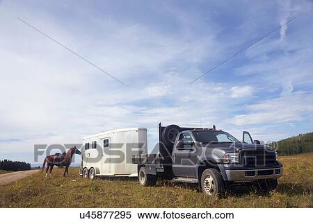 Horse trailer View Large Photo Image Stock Photography - Horse trailer. Fotosearch