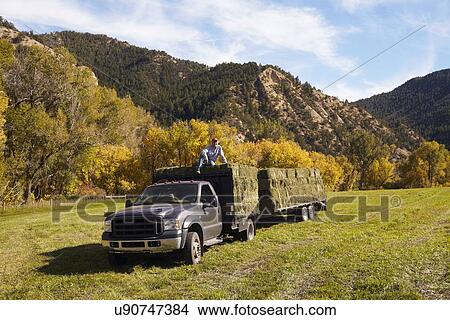 Rancher with bales of hay on his truck View Large Photo Image Picture - Rancher with bales of hay on his truck. Fotosearch