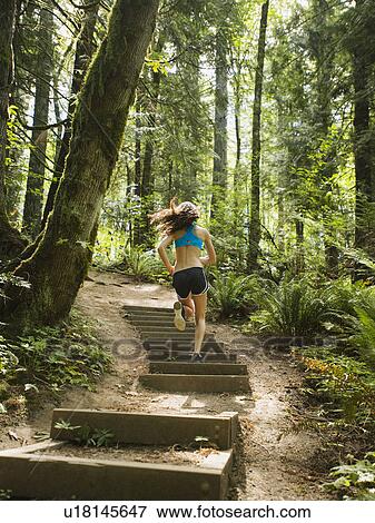 Rear view of young woman jogging in forest View Large Photo Image Stock Photo - Rear view of young woman jogging in forest. Fotosearch