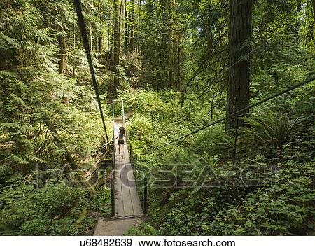 Rear view of young woman jogging in forest View Large Photo Image Stock Photo - Rear view of young woman jogging in forest. Fotosearch