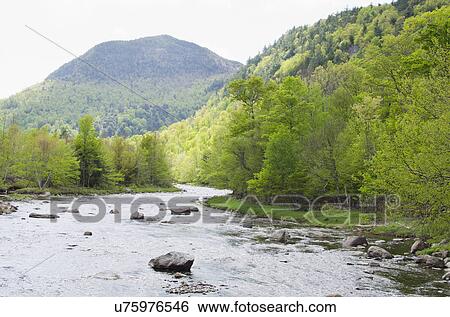 River in mountains View Large Photo Image Stock Photograph - River in mountains. Fotosearch