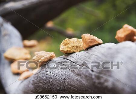 Stock Image - Stones lined up on old branch. Fotosearch