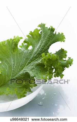 Stock Image - Studio shot of lettuce leaf. Fotosearch