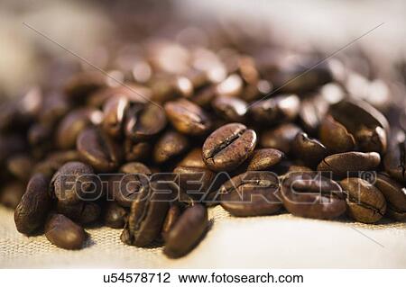 Studio Shot of roasted coffee beans View Large Photo Image Stock Image - Studio Shot of roasted coffee beans. Fotosearch