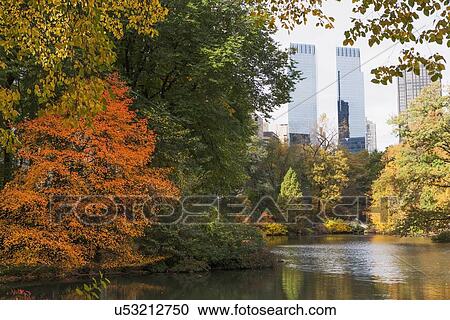 View of Central Park in autumn View Large Photo Image Stock Image - View of Central Park in autumn. Fotosearch