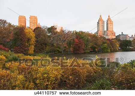 View of Central Park in autumn View Large Photo Image Stock Photo - View of Central Park in autumn. Fotosearch