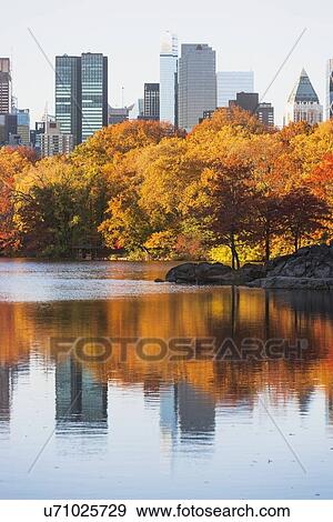 View of Central Park in autumn View Large Photo Image Stock Photo - View of Central Park in autumn. Fotosearch