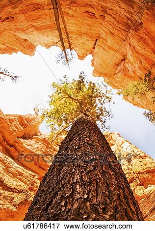 View of rocks, tree and sky View Large Photo Image Stock Photo - View of rocks, tree and sky. Fotosearch
