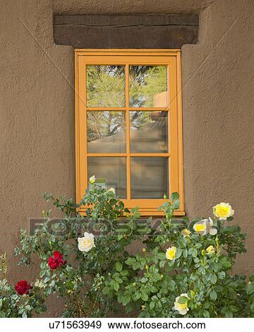 Stock Photo - Window with roses. Fotosearch