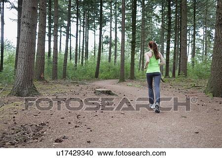 Woman jogging in forest View Large Photo Image Stock Image - Woman jogging in forest. Fotosearch