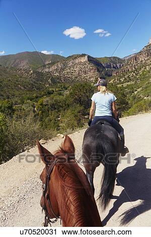 Woman riding horse View Large Photo Image Stock Image - Woman riding horse. Fotosearch
