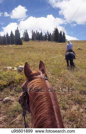 Woman riding horse View Large Photo Image Stock Photo - Woman riding horse. Fotosearch