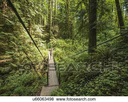 Young woman jogging in forest View Large Photo Image Stock Photo - Young woman jogging in forest. Fotosearch