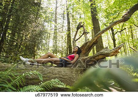 Young woman lying down on log in forest View Large Photo Image Stock Photo - Young woman lying down on log in forest. Fotosearch