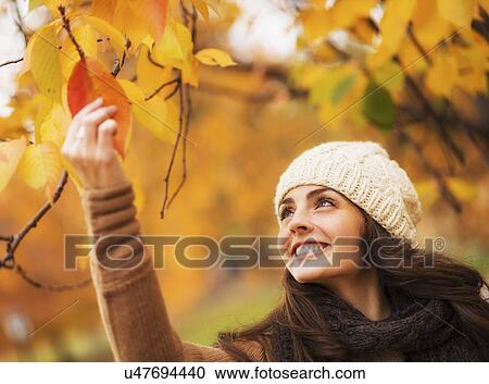 Stock Image - Young woman picking leaves in Central Park. Fotosearch