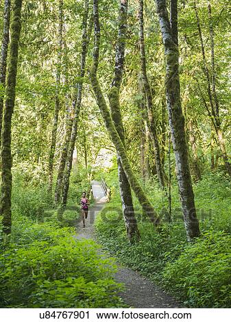 Young women jogging in forest View Large Photo Image Stock Image - Young women jogging in forest. Fotosearch
