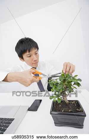 Stock Photography - Asian businessman pruning plant at office desk. Fotosearch