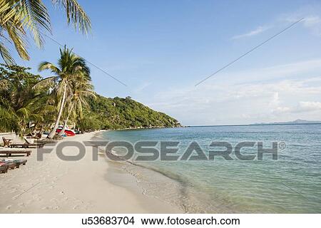 Picture - Beach and palm trees on Koh Pha Ngan, Thailand. Fotosearch