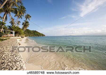 Stock Photo - Beach and palm trees on Koh Pha Ngan, Thailand. Fotosearch