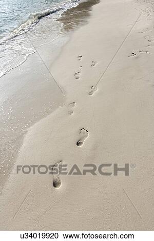 Stock Image - Footprints in sand on beach, Koh Pha Ngan, Thailand. Fotosearch