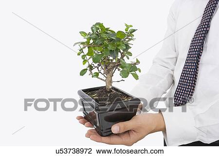 Stock Image - Midsection of businessman carrying potted plant over white background. Fotosearch