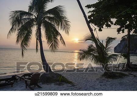 Stock Photo - Palm trees and deck chairs on beach at sunset, Koh Pha Ngan, Thailand. Fotosearch