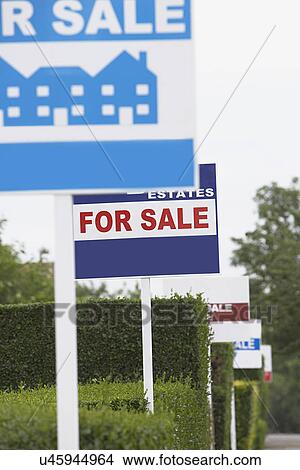 Picture - Real estate for sale signs in a row by hedges. Fotosearch
