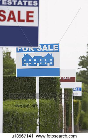 Stock Image - Real estate for sale signs in a row by hedges. Fotosearch
