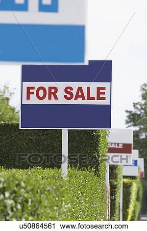 Real estate for sale signs in a row by hedges View Large Photo Image Stock Image - Real estate for sale signs in a row by hedges. Fotosearch