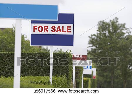 Real estate for sale signs in a row by hedges View Large Photo Image Stock Photograph - Real estate for sale signs in a row by hedges. Fotosearch